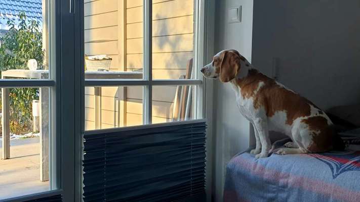 120. Fotochallenge-Beitrag-Bild