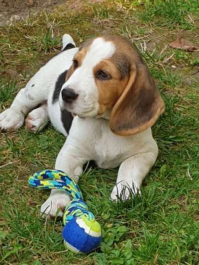 Fotochallange Nummer 5-Beitrag-Bild