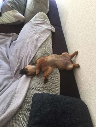 Die unbequemsten und lustigsten Schlafpositionen-Beitrag-Bild