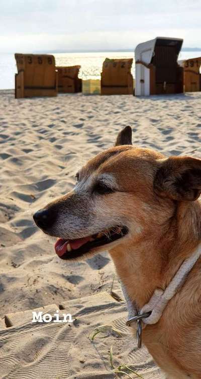 Immer lächeln !-Beitrag-Bild