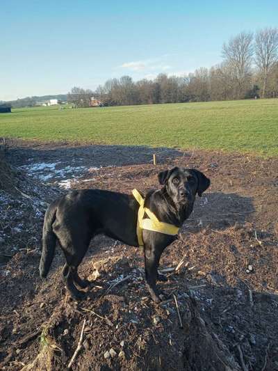 10. Farben Foto-Challenge ---- Blau-Beitrag-Bild