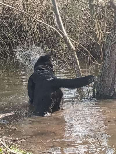 Foto Challenge Nr.133-Beitrag-Bild