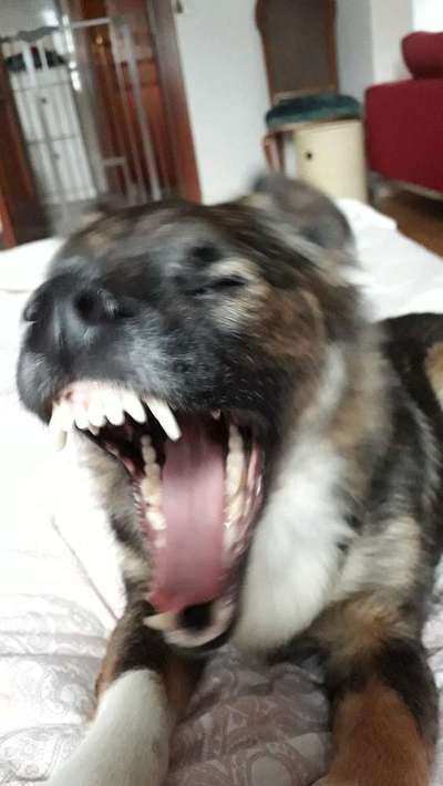 Lustige Bilder-Beitrag-Bild