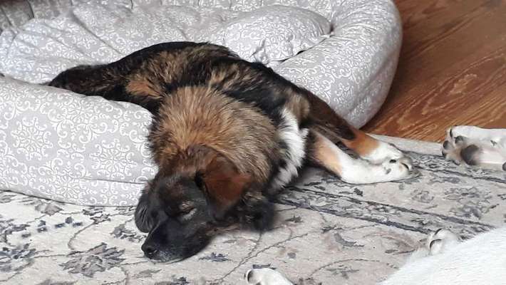 Die unbequemsten und lustigsten Schlafpositionen-Beitrag-Bild