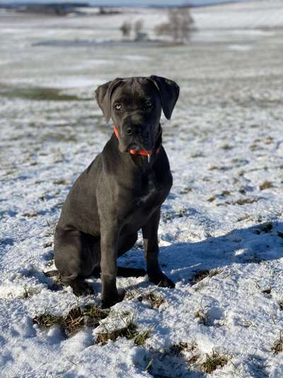 Fotochallenge 61 ~ Schnee-Beitrag-Bild