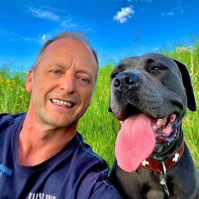 Hundetreffen-Gassi Runde für Energiebündel-Profilbild