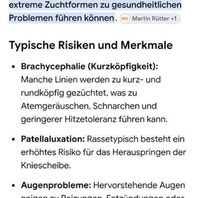 Qualzucht-Verbot bei der Welthundeausstellung in Österreich?-Beitrag-Bild