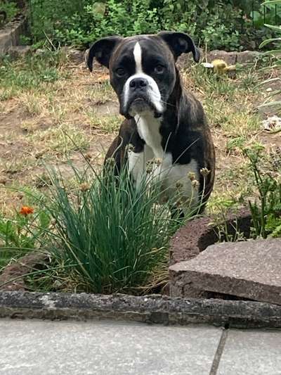 Ach, wie schnell die Zeit vergeht-Beitrag-Bild