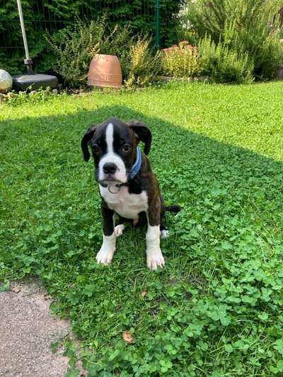 Ach, wie schnell die Zeit vergeht-Beitrag-Bild