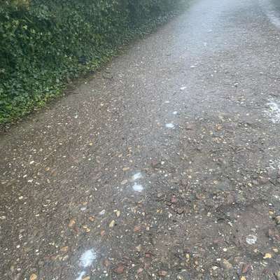 Giftköder-Weißes Pulver auf dem Weg-Bild