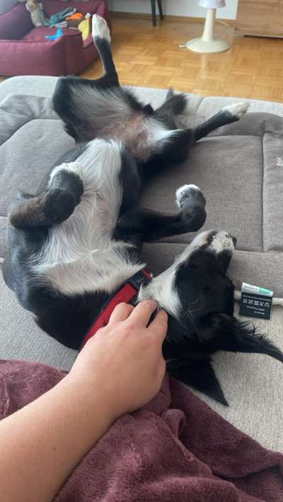 Foto Challenge - Zeigt her eure Bäuche-Beitrag-Bild