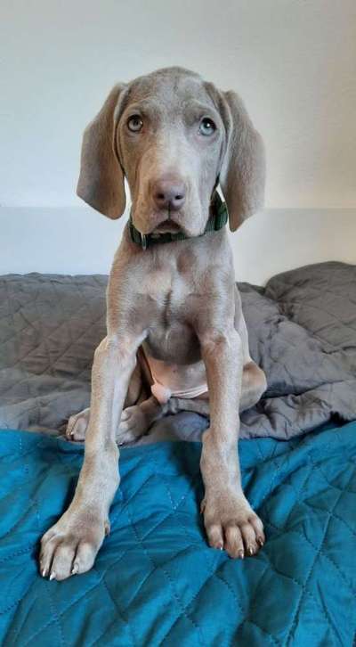 Unser Nachwuchs-Beitrag-Bild