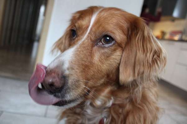 Fotochallenge Nr. 67: Euer Lieblingsbild-Beitrag-Bild