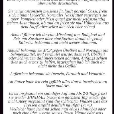 Massive Probleme mit dem Fressen-Beitrag-Bild