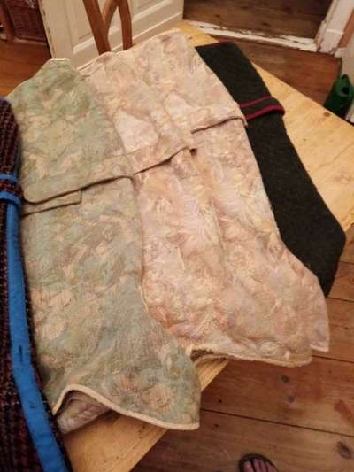 Windhunde - Treffen der besonderen Schönheiten
HERZLICH WILLKOMMEN-Beitrag-Bild