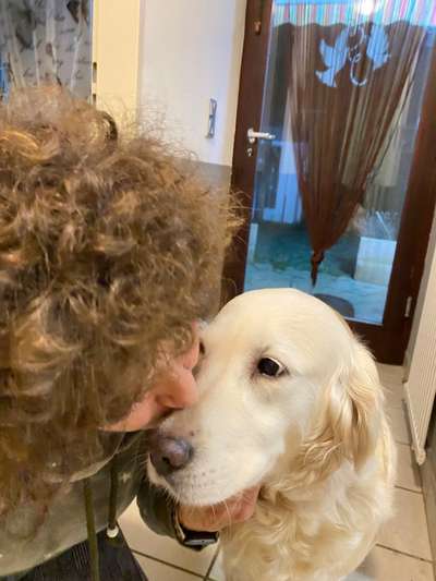 Dogorama Photo Challenge - Selfie Time!-Beitrag-Bild