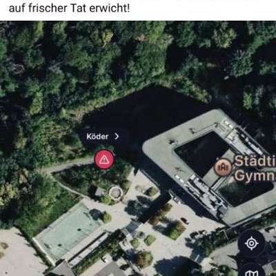 Giftköder-Vermutlicher Giftköder-Bild