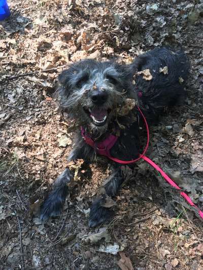 Lustige Grimassen & verrückte Posen-Beitrag-Bild