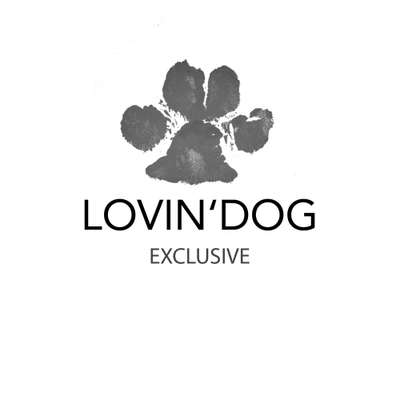 Hundeshops-LOVIN’DOG-Bild