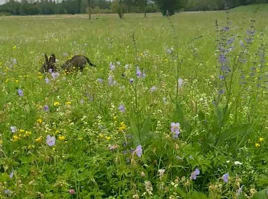 Fotochallenge No. 5-Beitrag-Bild