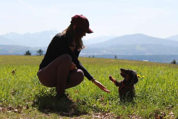 Challenge 30  Freundschaft-Beitrag-Bild