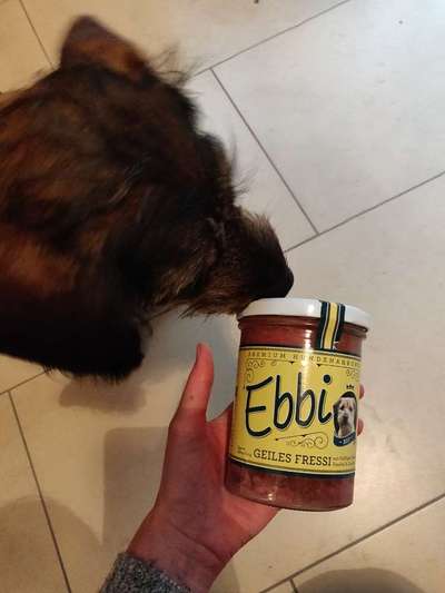 Bio Futter-Beitrag-Bild