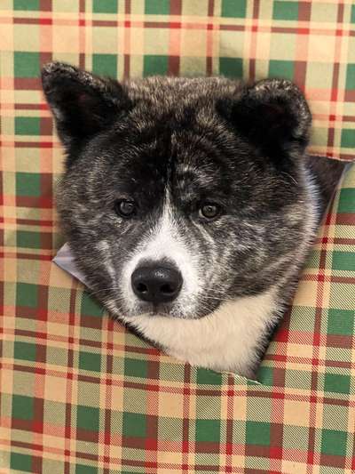 Austausch zur Fotografie-Beitrag-Bild