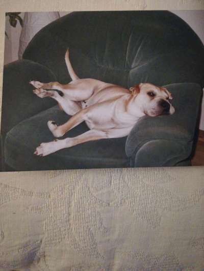 Die unbequemsten und lustigsten Schlafpositionen-Beitrag-Bild