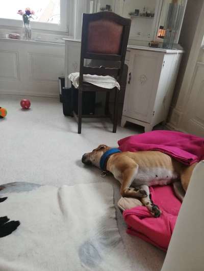 Die unbequemsten und lustigsten Schlafpositionen-Beitrag-Bild