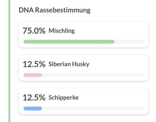 DNA-Tests-Beitrag-Bild