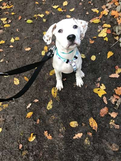 Das erste Foto-Beitrag-Bild