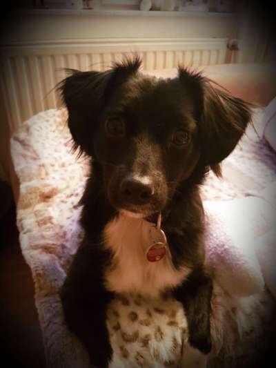 Fotochallenge Nr. 67: Euer Lieblingsbild-Beitrag-Bild