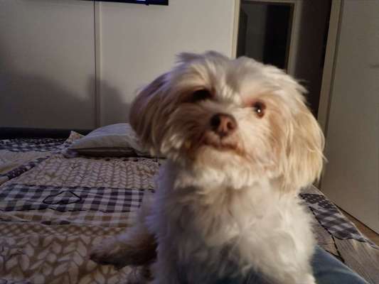 Doppelgänger gesucht !-Beitrag-Bild