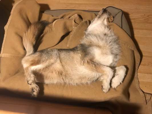 CHALLENGE NR. 34 - Liege-/Schlafpositionen-Beitrag-Bild