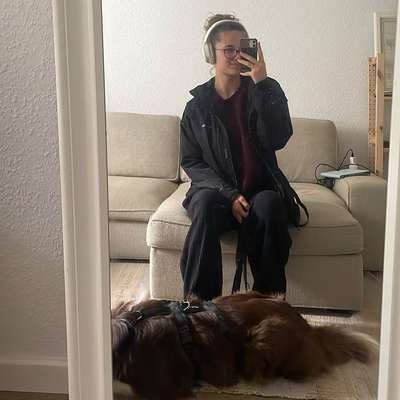 Hundetreffen-Training für die Leinen-Befreiung / Stadpark