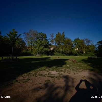 Hundeauslaufgebiet-Alwin Mittasch Park-Bild