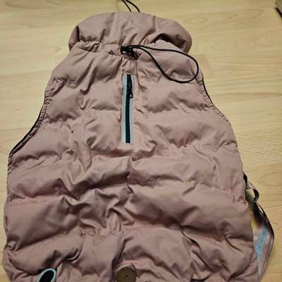 Hundemantel-Beitrag-Bild