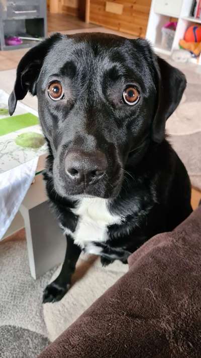 Fotochallange Nr. 57     PORTRÄT.   Beendet!!!!!!!!-Beitrag-Bild