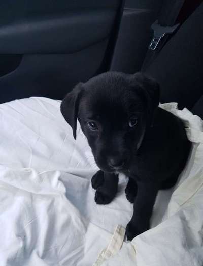 Vorher.... Nachher-Beitrag-Bild