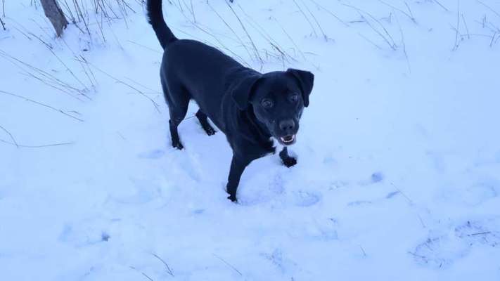 Fotochallenge 61 ~ Schnee-Beitrag-Bild