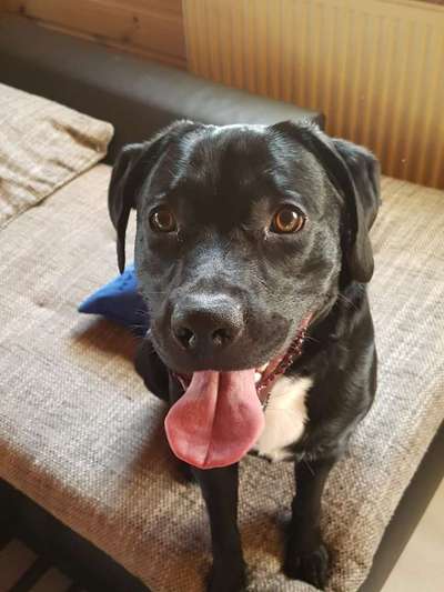 Lieblingsbild-Beitrag-Bild