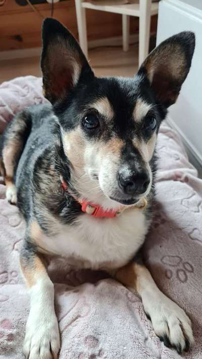 Fotochallange Nr. 57     PORTRÄT.   Beendet!!!!!!!!-Beitrag-Bild