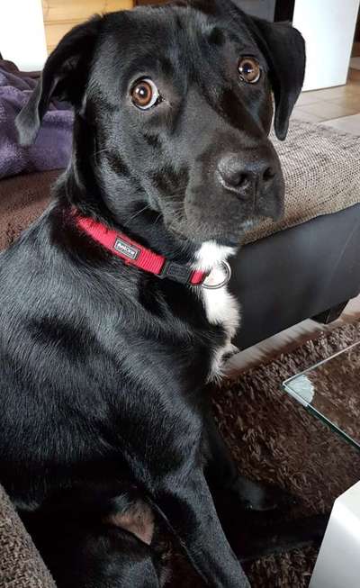 Vorher.... Nachher-Beitrag-Bild