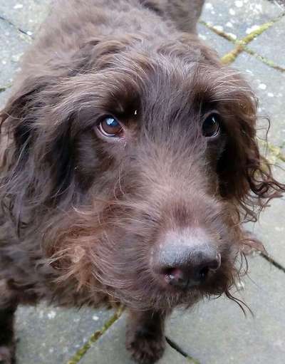 Fotochallenge Nr. 56 - geliebte Senioren-Beitrag-Bild