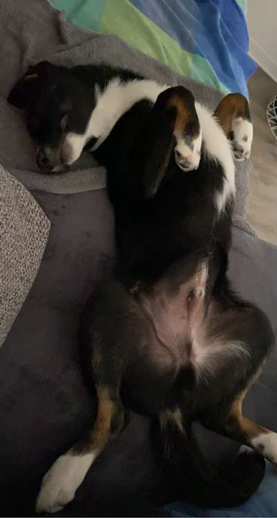 Die unbequemsten und lustigsten Schlafpositionen-Beitrag-Bild