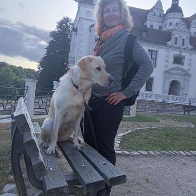 Hundetreffen-Nette Hunde 🐕 kennen lernen-Bild