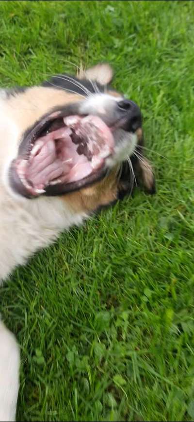 Un...scharf Bilder-Beitrag-Bild