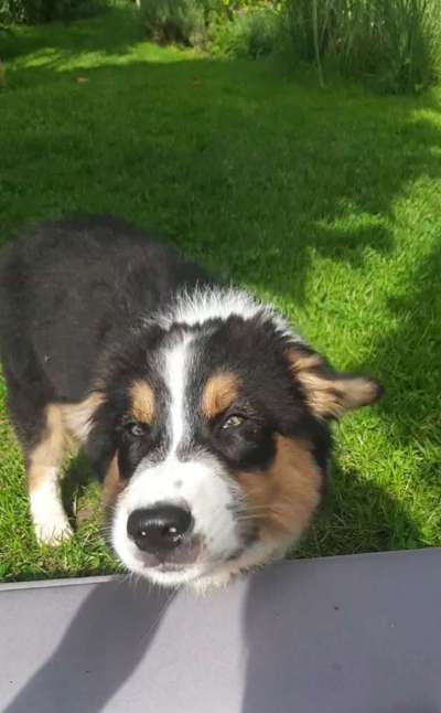 Lieblingsbild :D-Beitrag-Bild