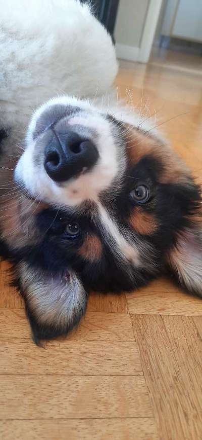 Lieblingsbild :D-Beitrag-Bild