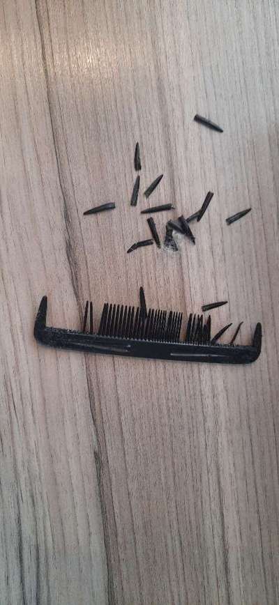 Zeig mir, dass du mit einem hund zusammenlebst....-Beitrag-Bild